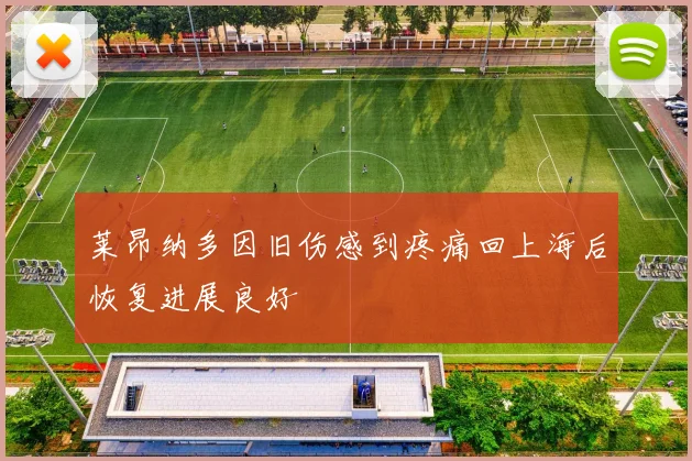 莱昂纳多因旧伤感到疼痛回上海后恢复进展良好
